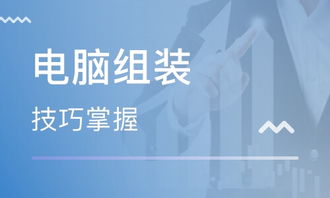 鄭州電腦維修與網(wǎng)站設(shè)計(jì)培訓(xùn) 開啟數(shù)字技術(shù)職業(yè)新篇章